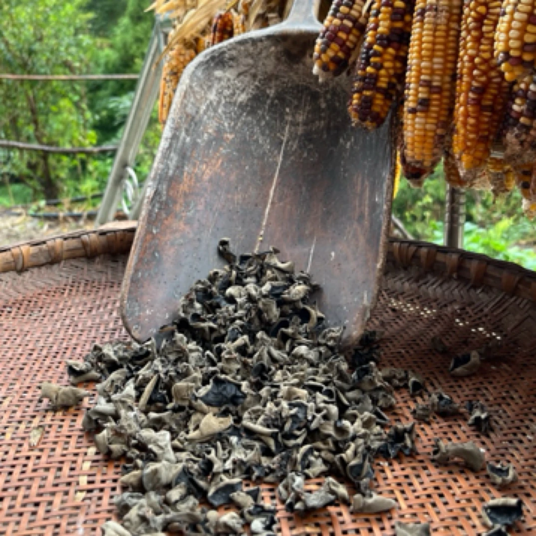 青川深山椴木黑木耳木耳250g/500g