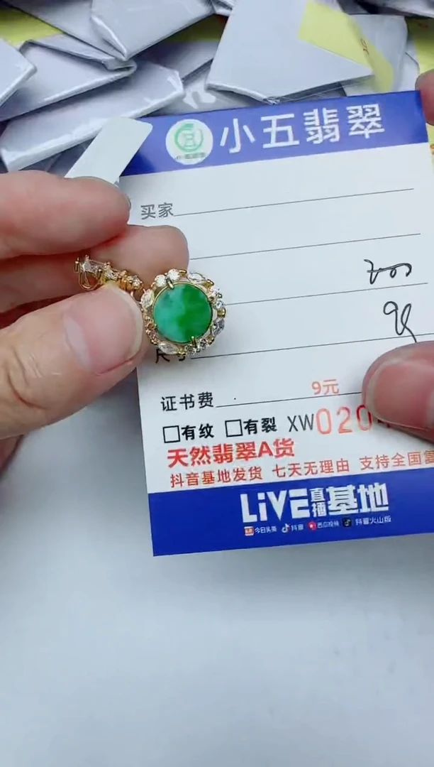 【闪购商品】翡翠颈饰未镶嵌