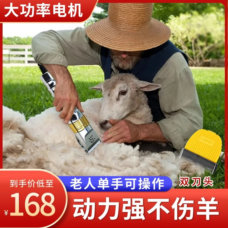 利特锐专业羊毛电推剪宠物剃毛器大功率狗狗剪毛器大型犬绵羊推子