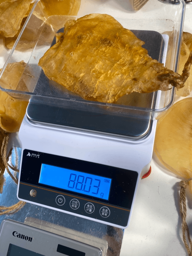 斗湖临时散称1 g一500 g鱼胶广东汕头