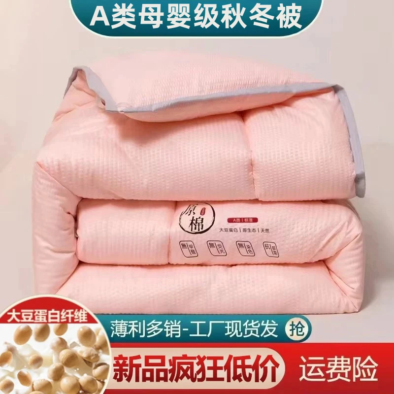 加厚保暖母婴级原棉花被大豆被春秋冬天被子单双人宿舍新疆被褥芯