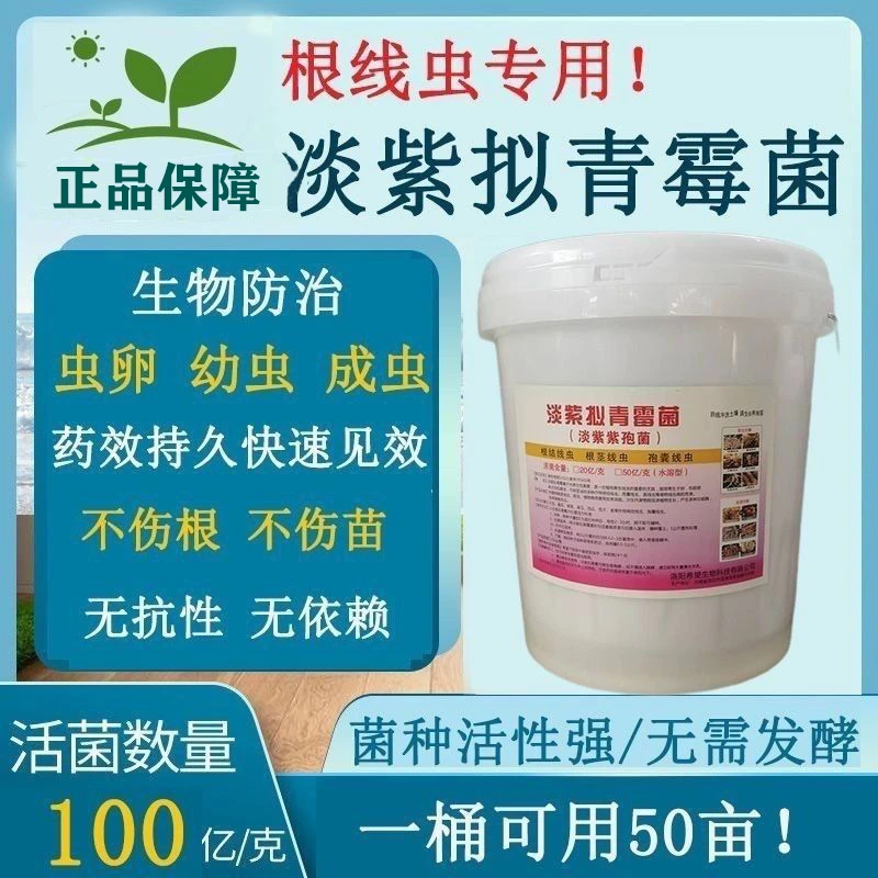 100亿淡紫拟青霉菌紫孢菌根结线虫克星专用大姜山药黄瓜番茄辣椒