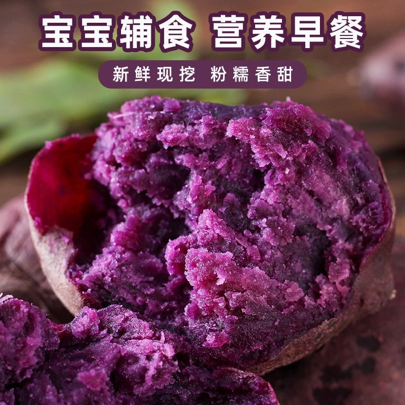【半价抢】新鲜紫薯紫罗兰现挖现发沙地紫薯地瓜特惠价1/5/9斤香