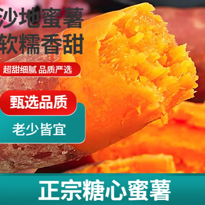 【秋冬新挖沙地红薯1-9斤】优质新鲜蔬菜红心蜜薯板栗番薯整箱香