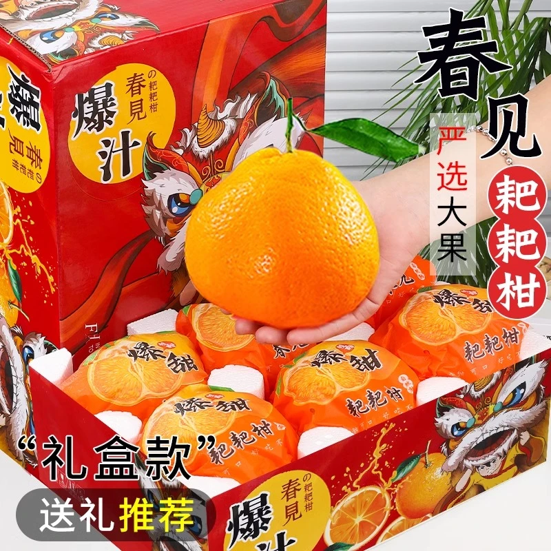 正宗耙耙柑橘子四川耙耙柑水果春见耙耙柑当季新鲜礼盒粑粑柑特级