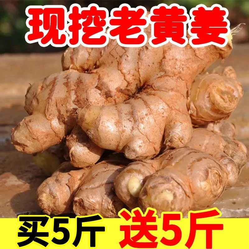 品质老姜生姜批发老黄姜大黄姜新鲜蔬菜配料月子姜非小黄姜整箱