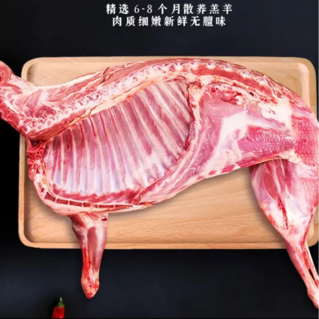 航空包邮羔羊【半只】14～16斤新疆发货好吃不膻正宗整羊整扇xx%腿排