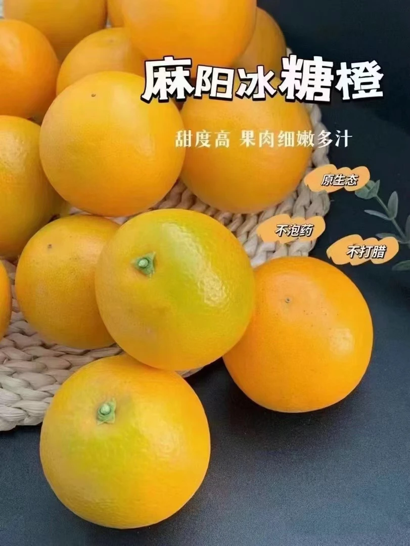 正宗湖南麻阳冰糖橙原产地直发现摘现发应季水果