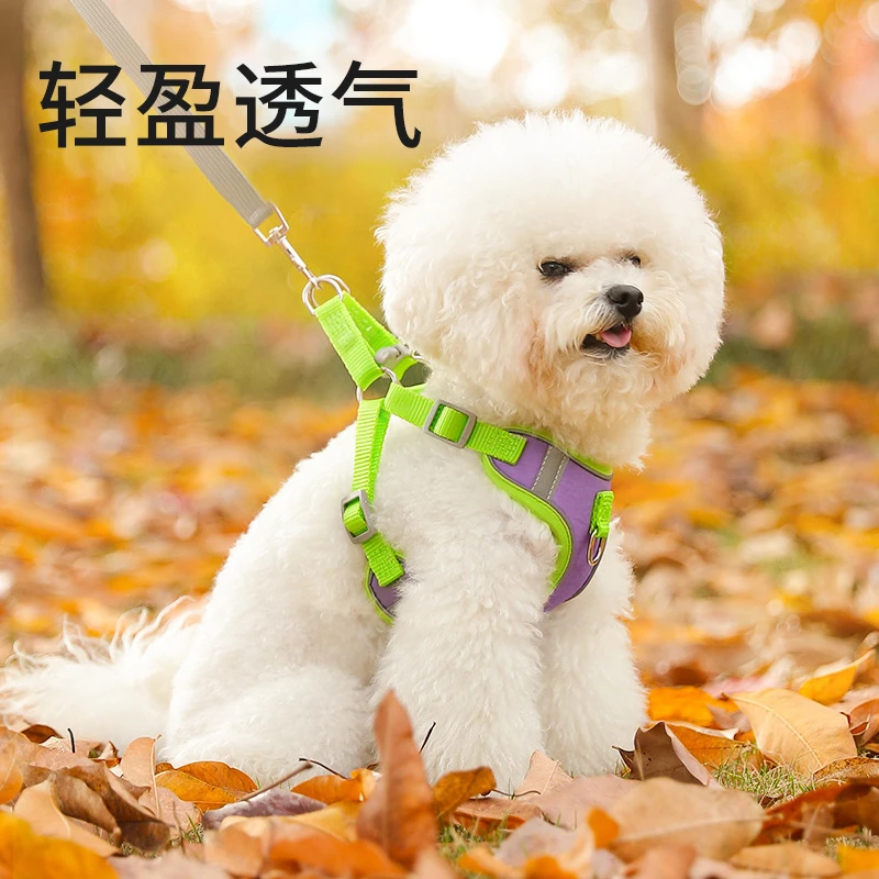 宠物出行用品背心式狗狗牵引绳猫咪小型犬泰迪胸背带遛狗绳狗链子