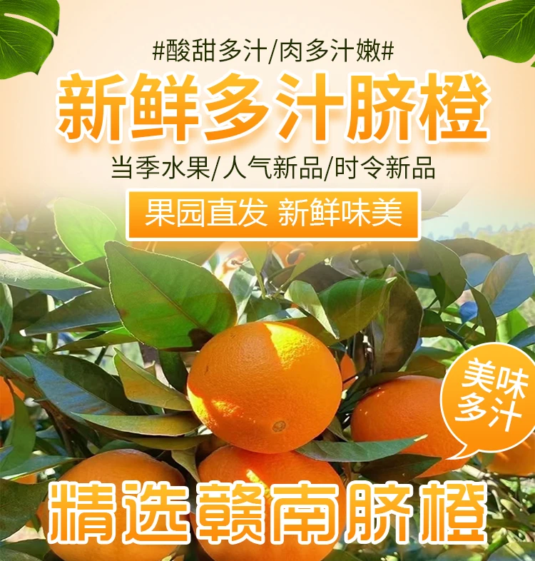 【高品质10斤装】新鲜维生素C赣南脐橙正宗江西赣南脐橙现摘