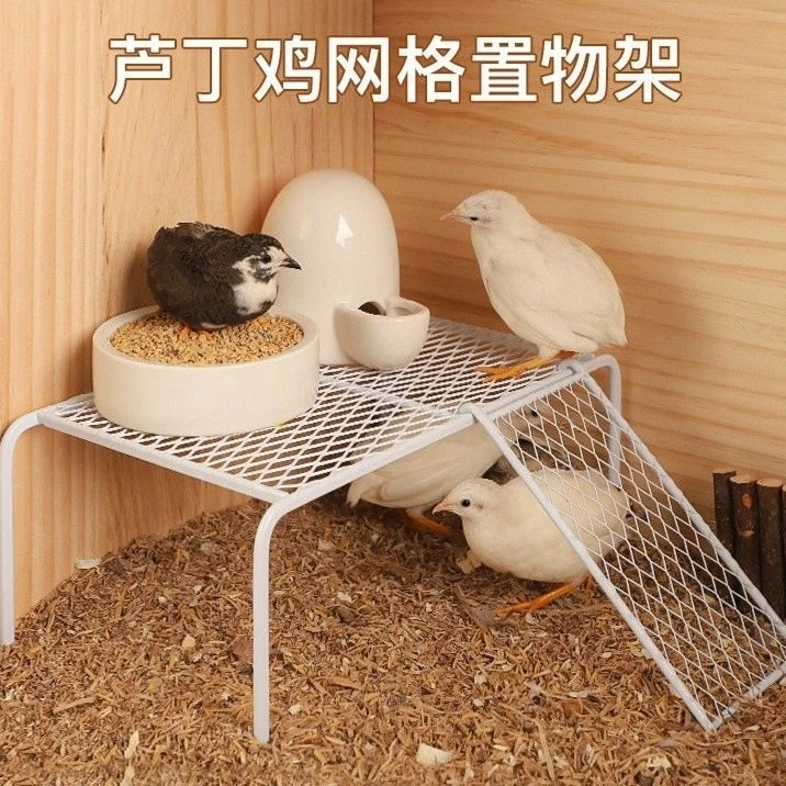 芦丁鸡喂食喂水平台造景镂空网格平台好打理干净喂水喂食爬梯餐桌