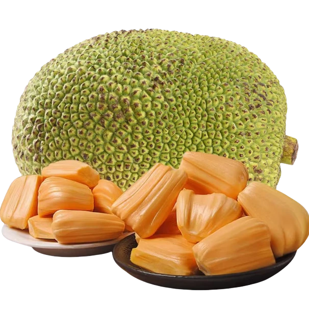 【次日达】越南红肉菠萝蜜整果  8-14斤  香甜 生僻不售后