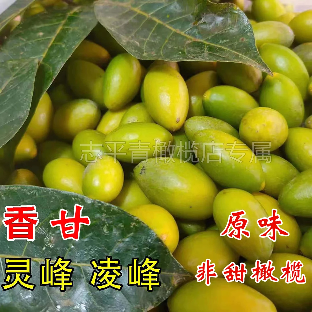 眼镜弟凌峰灵峰天然香甘酥脆香灵峰橄榄凌峰橄榄顶级灵峰橄榄好吃