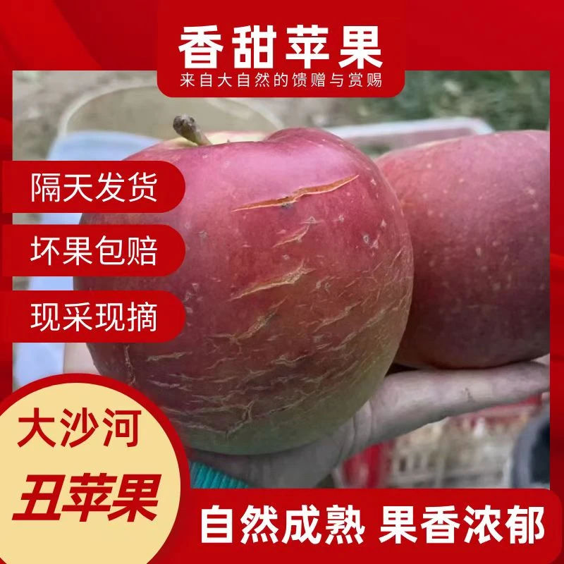大沙河老红富士丑苹果15-18个果子［精选大果］净重10斤