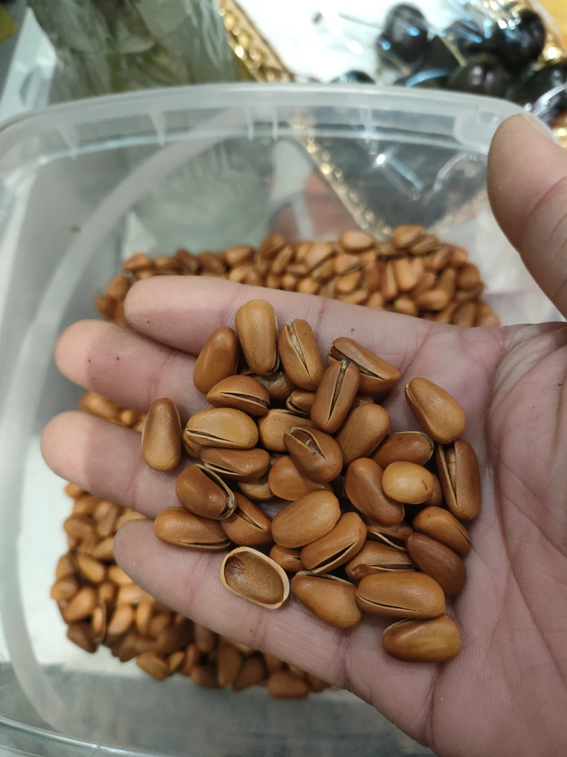 原味大粒开口炒松子一斤解馋零食