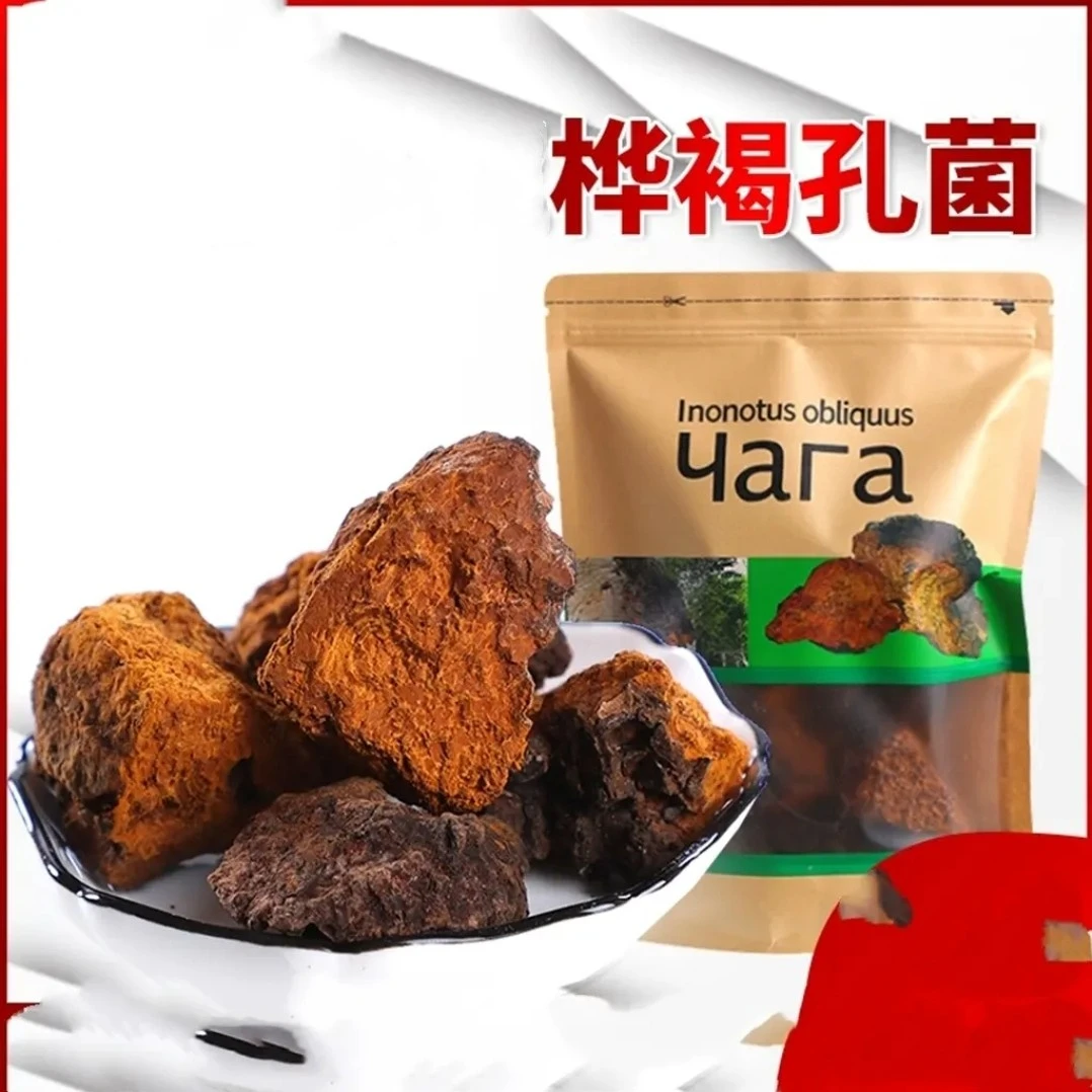 桦褐孔菌500g/袋装包邮