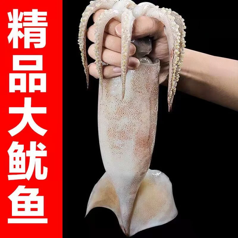 5斤顺丰包邮山东发货 深海大鱿鱼好吃又新鲜原浆鱿鱼冷冻鱿鱼