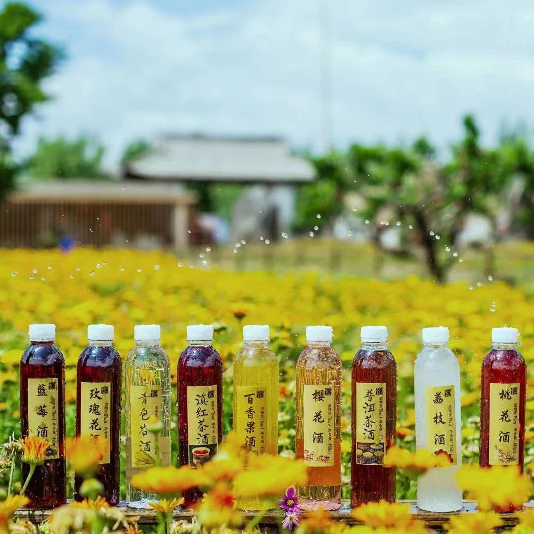 微醺高颜值聚会厂家批发花果酒网红酒酒女生低度酒国潮正宗果味酒