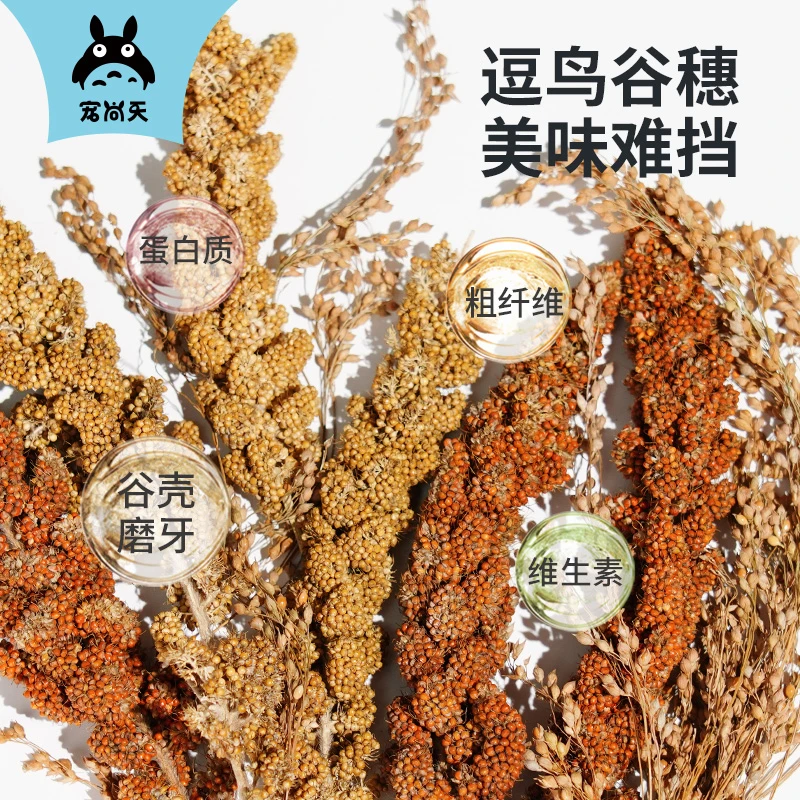 宠尚天鹦鹉谷穗天然带壳黄谷子小米麦穗玄凤虎皮饲料鸟粮鸟零食