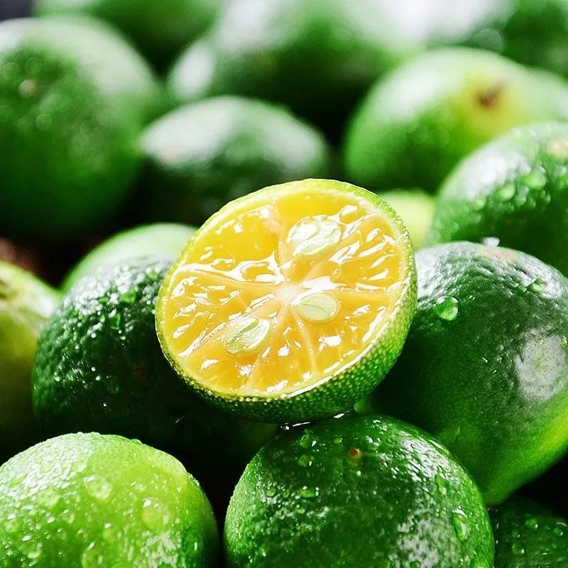 【坏果包赔】海南新鲜小金桔小青桔酸柠檬1/3/5斤青金桔皮薄清新