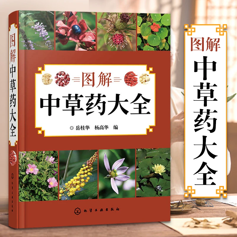 图解中草药大全  中草药大全中药书书籍中药材图解药用药配方医