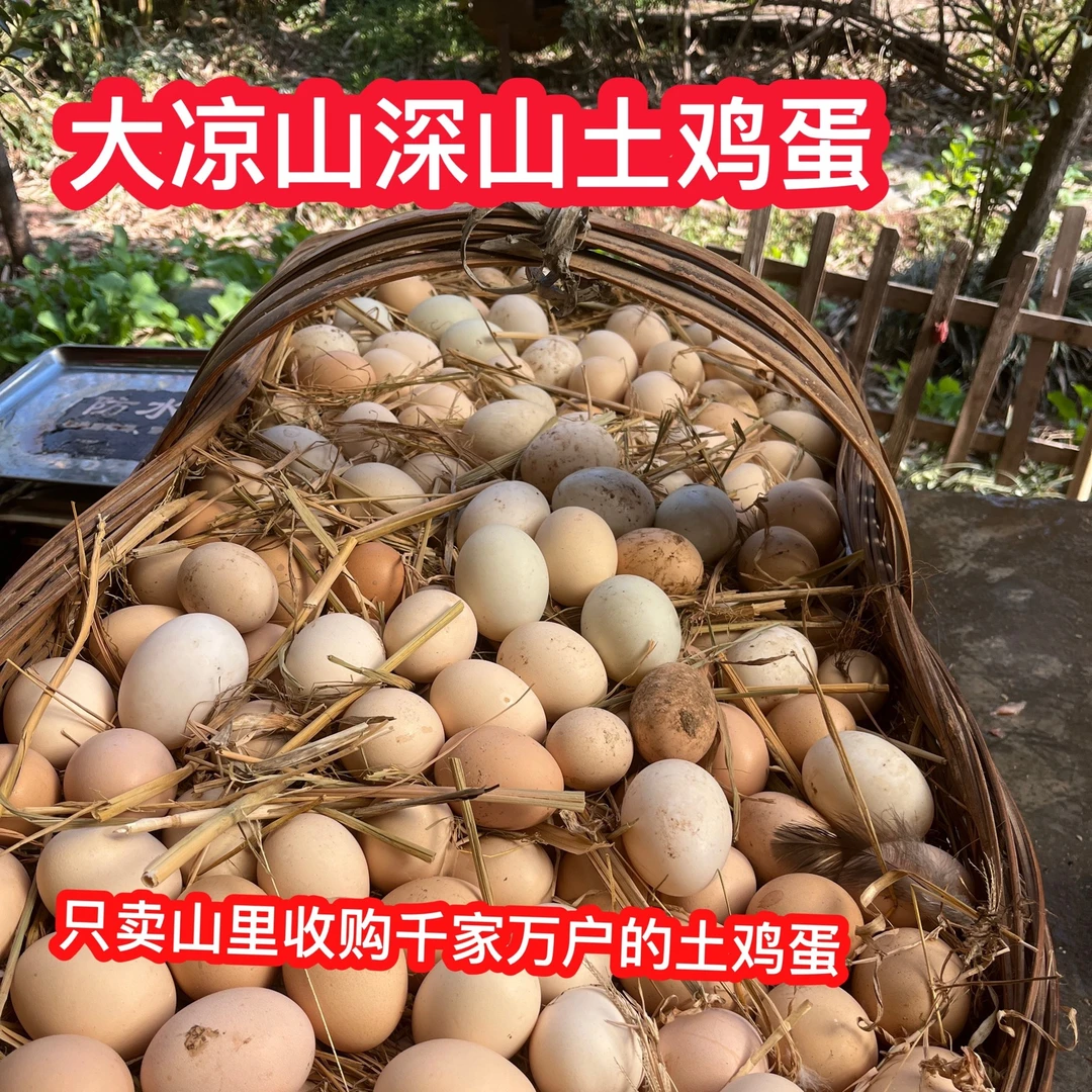 大凉山深山土鸡蛋/山里收购土鸡时随带收购的农家土鸡蛋2.8元/个