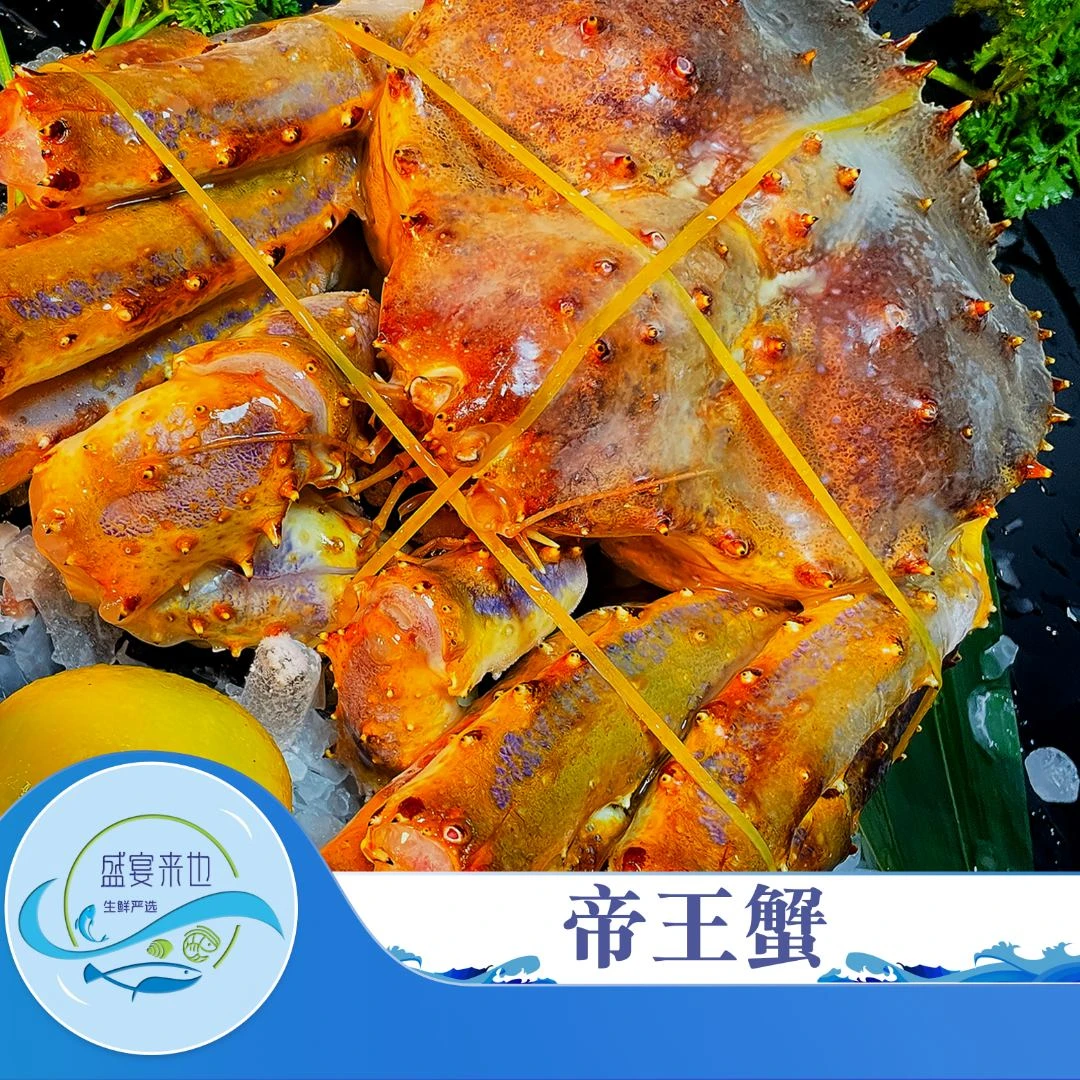【帝王蟹七夕粉丝专享】活冻锁鲜俄罗斯帝王蟹饱满肉质全国顺丰直达