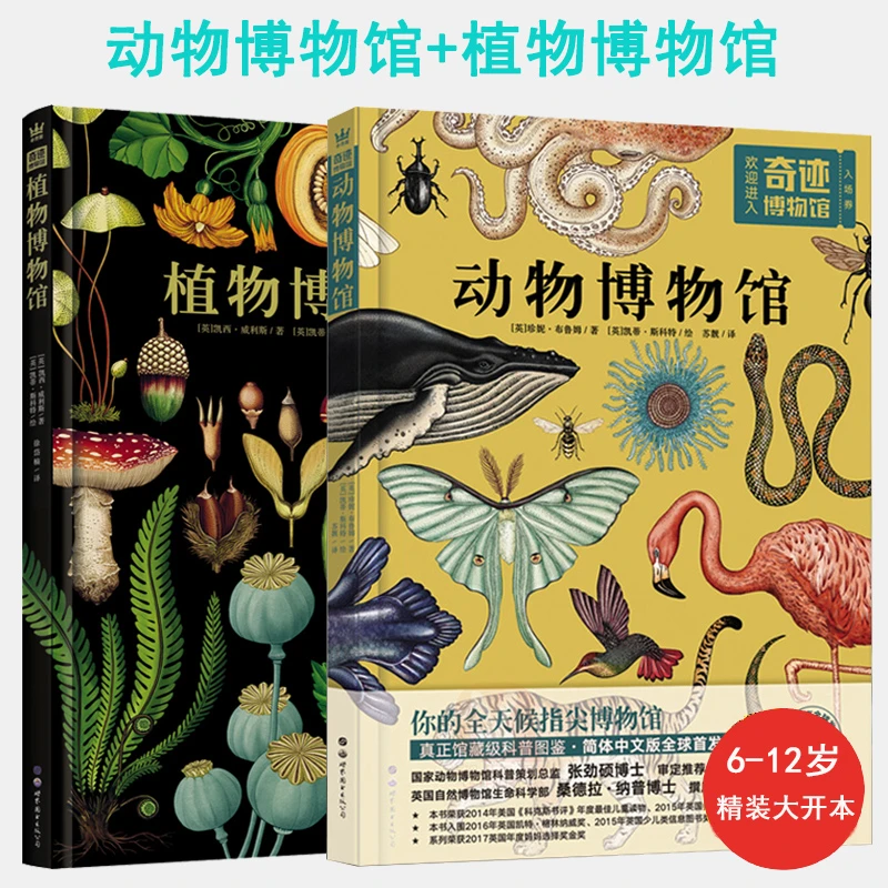 奇迹博物馆（全2册）