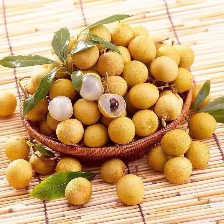 【家庭装三斤一份】精品金标鲜龙眼桂圆清甜多汁