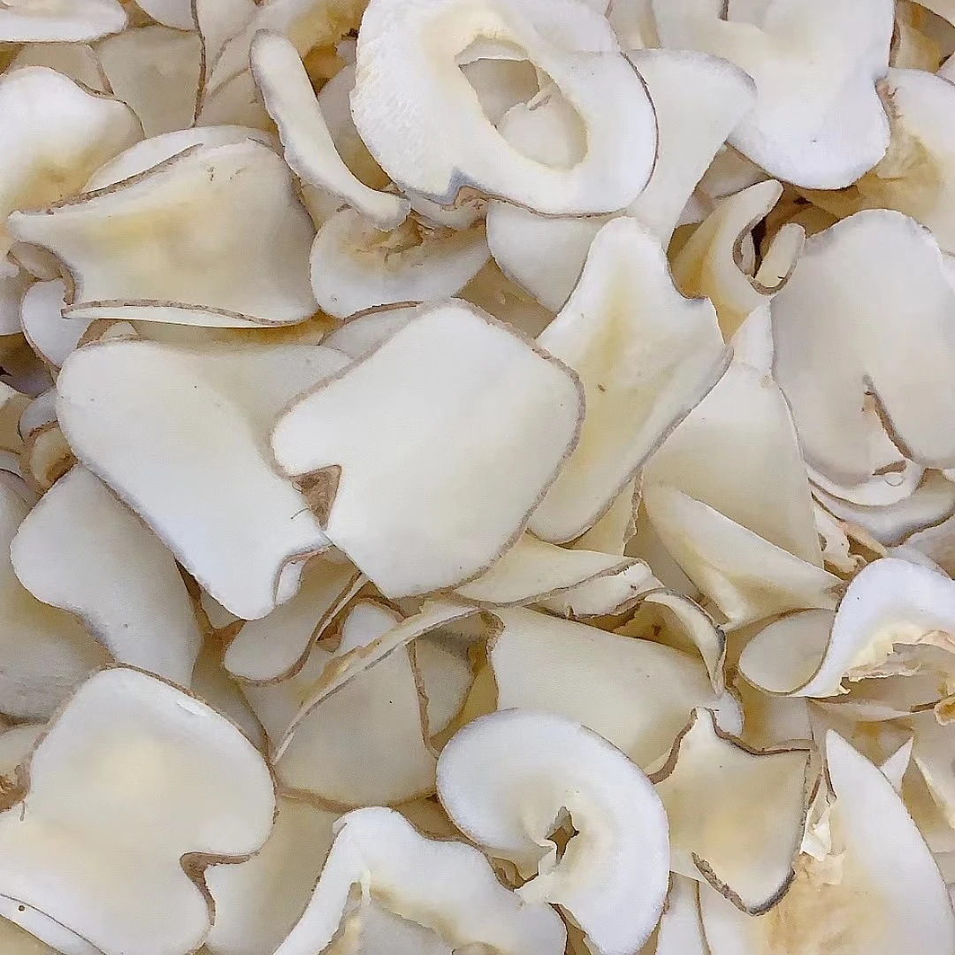 【三三】海底椰片 250g