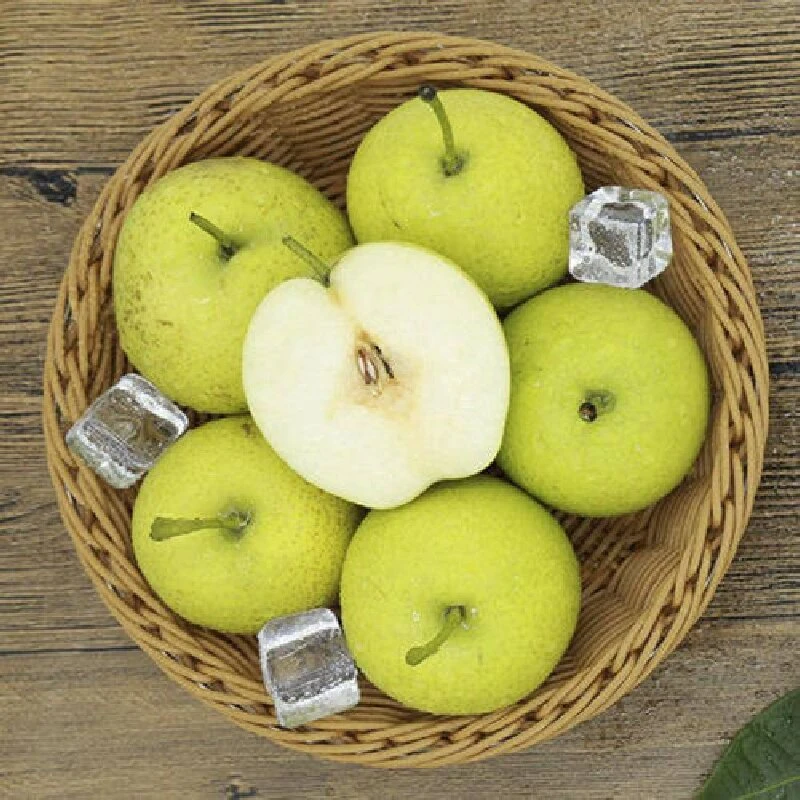 四川苍溪七月雪翠冠梨酥脆一号梨黄金梨青皮梨香脆汁甜约9斤包邮