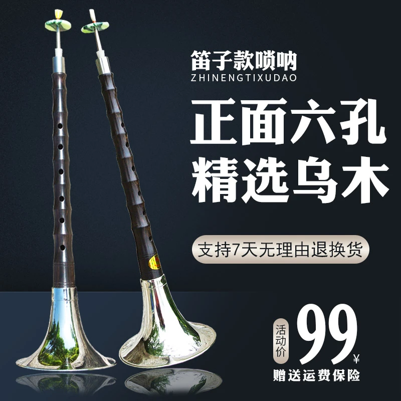 朝凤燕京初学笛子唢呐乐器全套乌木杆专业六孔唢呐大中小号成人
