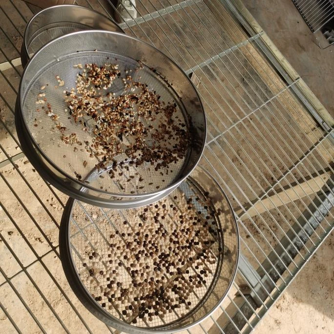 鸽粮，不锈钢，洗粮，分粮，三件套