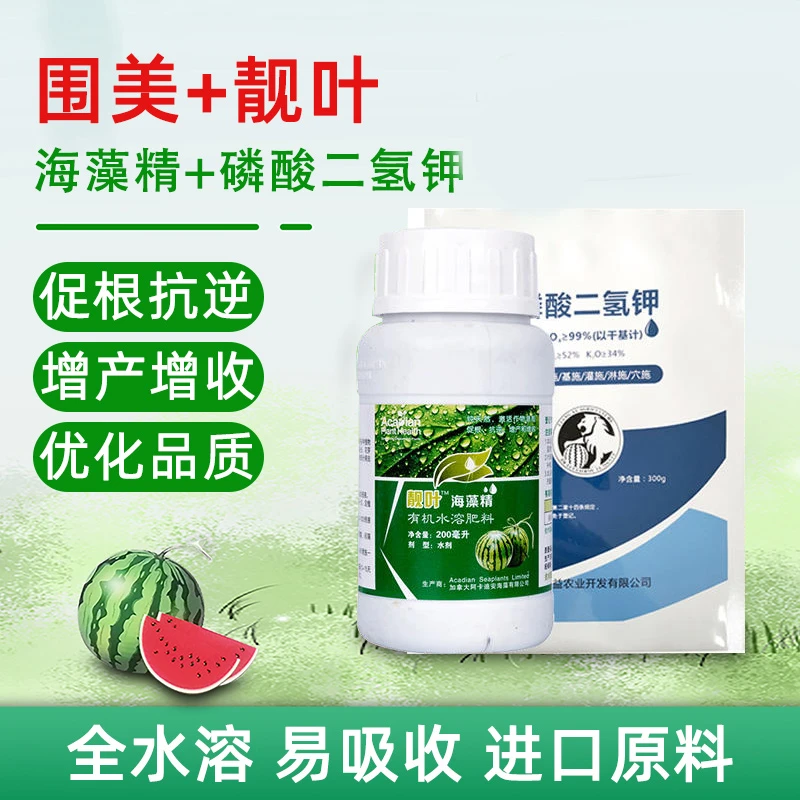 西瓜苗期育苗肥料套餐增产