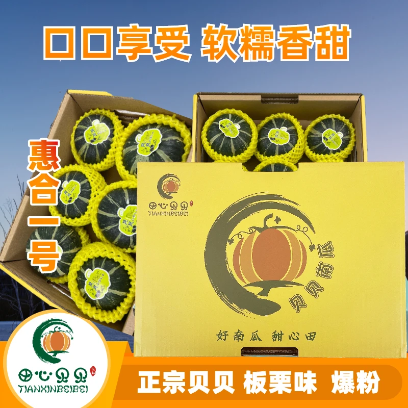 【宝宝款】进口惠合一号板栗南瓜5斤爆粉爆甜（10个左右）