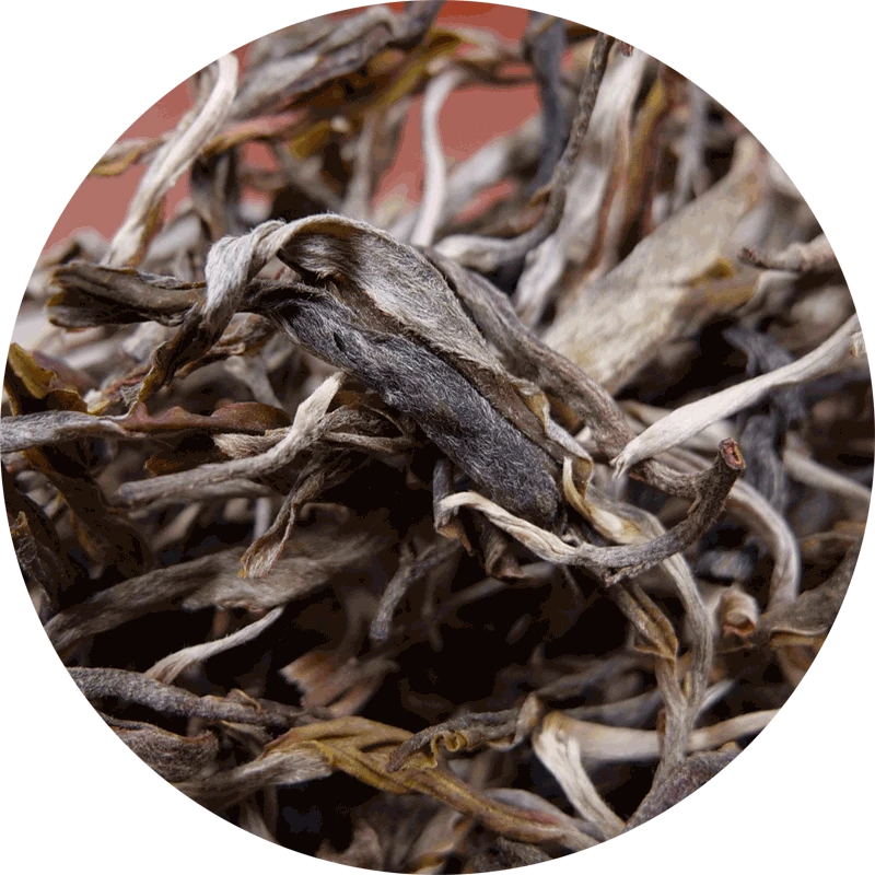 店铺茶品品鉴装 小分量