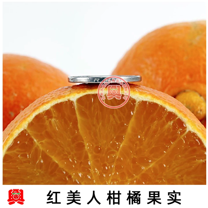 爱媛28号红美人蜜桔柑橘苗盆栽果树苗橘子树桔子苗木带土栽培春季