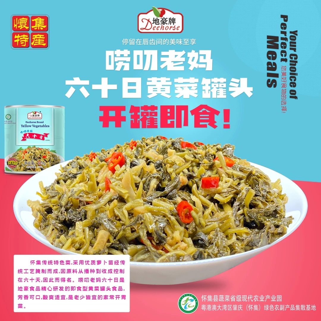 怀集六十日黄菜地豪唠叨老妈即食六十日腌制开胃菜酸萝卜苗225g