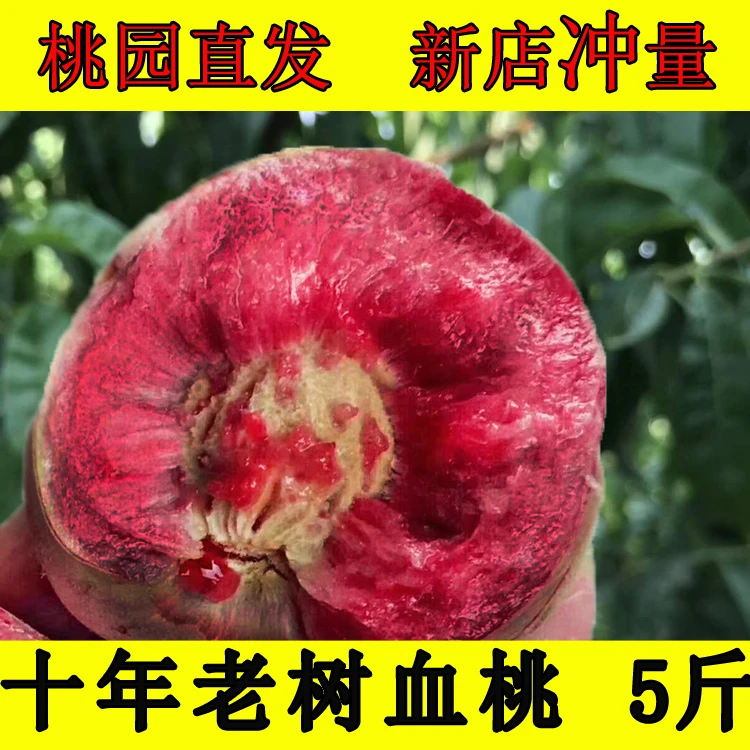 中期河南桐柏真血桃朱砂红5斤净重现摘水果新鲜软糯香甜