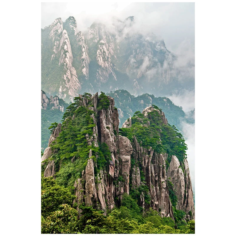 靠山图家有靠山有山无水竖版墙贴自粘大山日照金山背景墙画