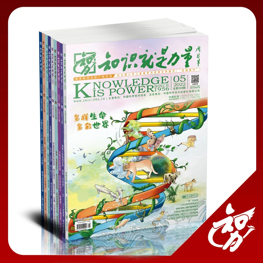知识就是力量 24年年刊订阅 24年1月起订/24年7月起订