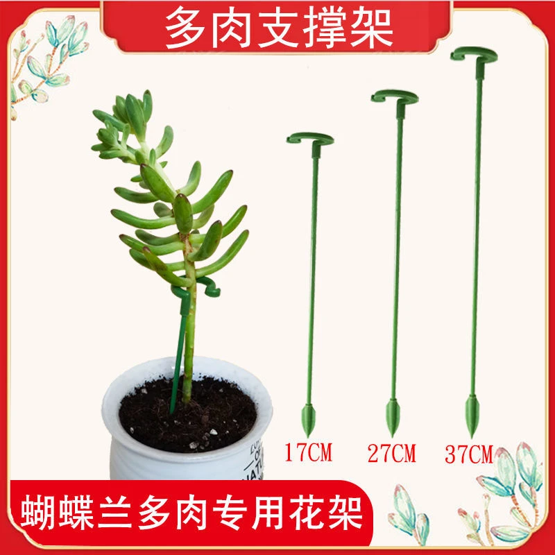 蝴蝶兰多肉花卉花架支架植物盆栽花卉造型支撑杆固定防倒伏护叶架
