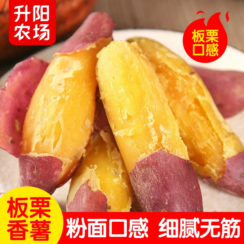 .临安天目山小香薯正宗地瓜番薯5斤包邮板栗红薯甜糯农产品直播