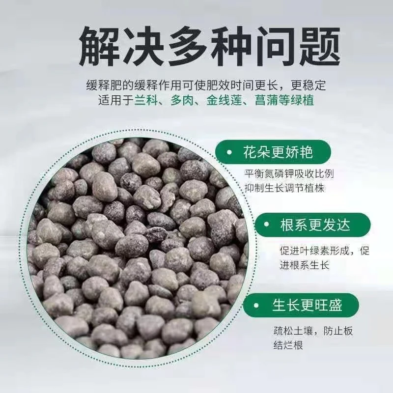 兰花专用肥 好康多   长效颗粒肥缓释肥100 -250克