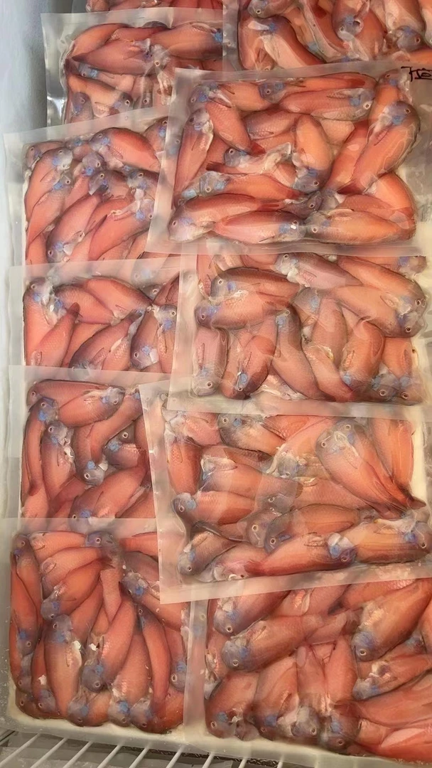 惠来县本港红心鱼（一包一斤）煎出锅肉质鲜滑香