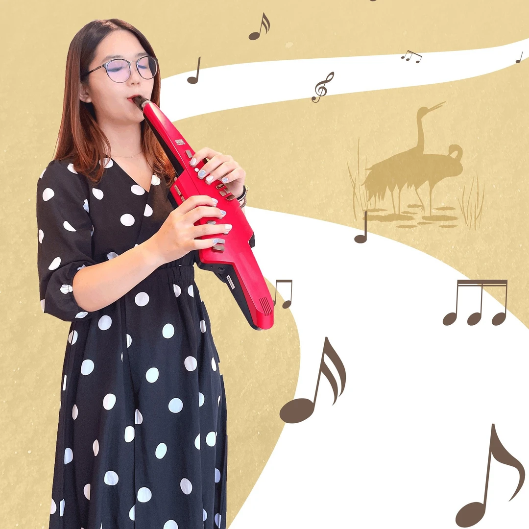 ROLAND罗兰ae10电吹管 基础入门教学集 图文视频结合 简单易学