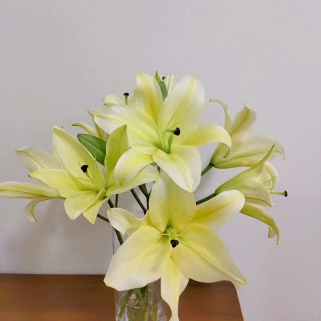 【玖枝花优选】品质百合‘黄天霸’云南基地直发 鲜切花材