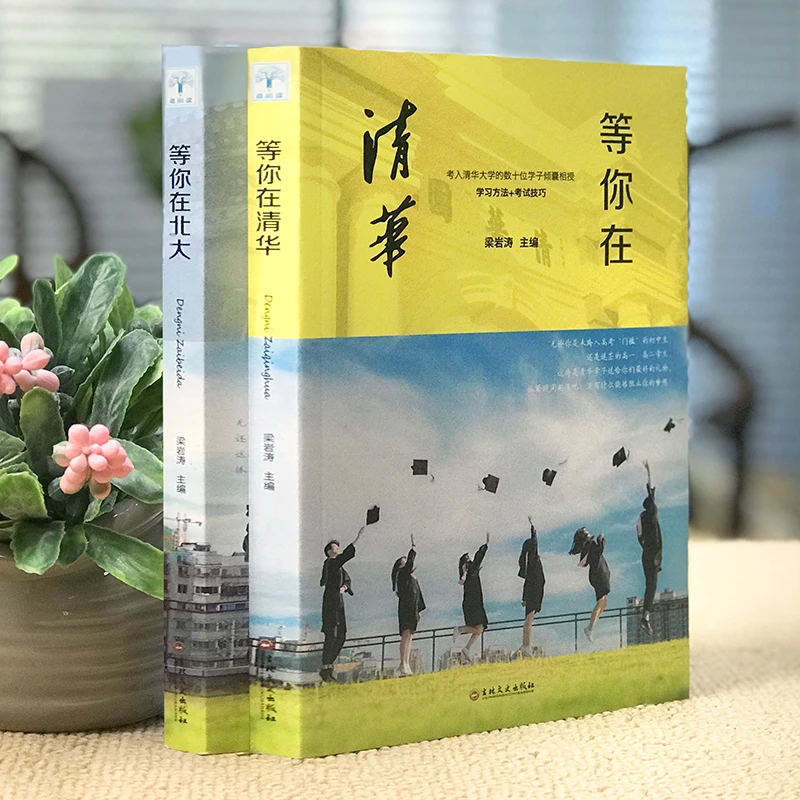 等你在清华北大正版书全两册清华北大在等你套装中考高考学习窍门