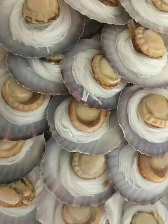 原装粉丝大扇贝20只特A级大规格