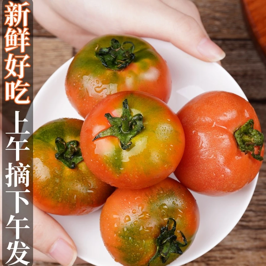 【天津猴瘦瘦农场】铁皮水果西红柿五斤装